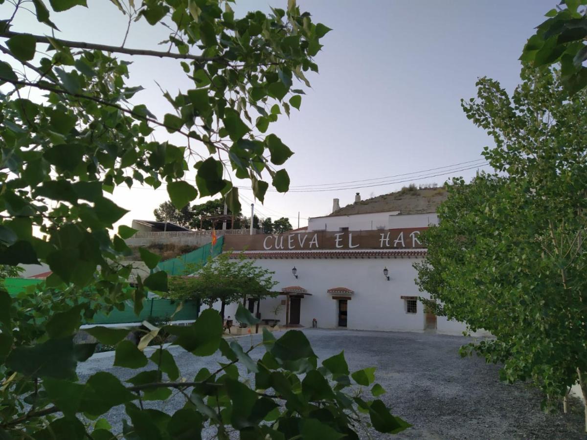 Cueva El Haro Guest House Baza Ngoại thất bức ảnh